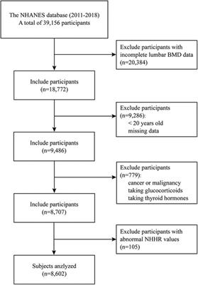 Association between arteriosclerosis index and lumbar bone mineral density in U.S adults: a cross-sectional study from the NHANES 2011–2018